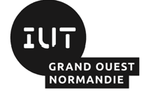 IUT Cherbourg — Licence ME2I